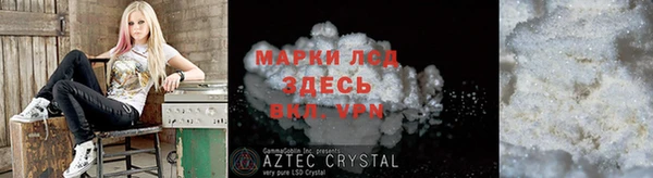 apvp Иннополис