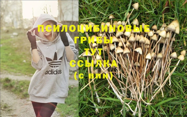 apvp Иннополис