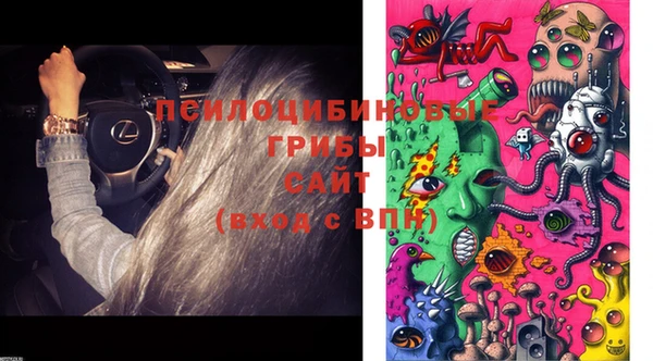 apvp Иннополис