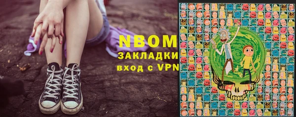 дурь Инсар