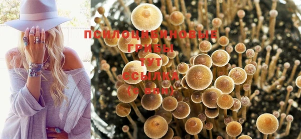дурь Инсар