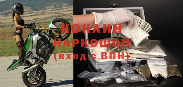 дурь Инсар