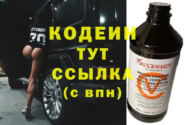 apvp Иннополис