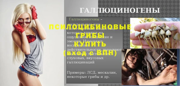 дурь Инсар